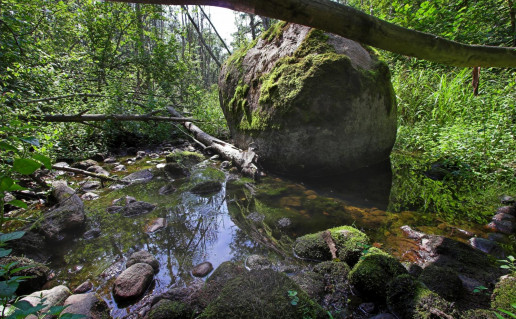 4_Jurkiškio akmuo_Puntuko vaikas (2).jpg